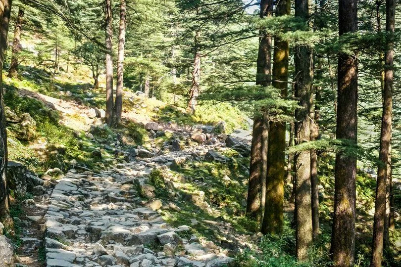 Hiking Trails at Skyview Patnitop