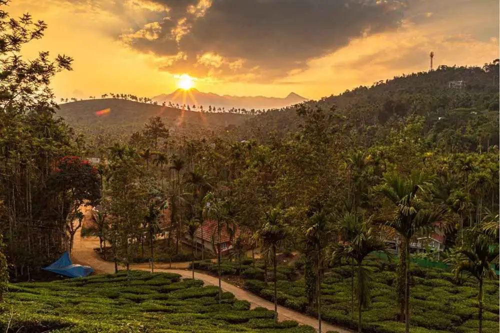 Day Trip to Wayanad Sightseeing Experience from Mysore