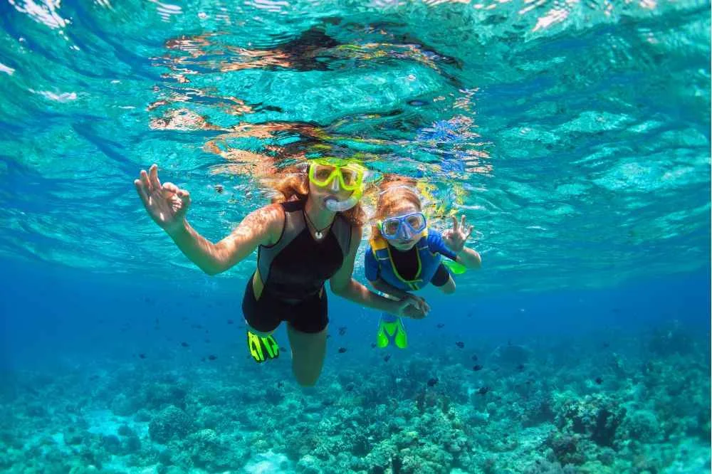 Snorkeling in Pondicherry