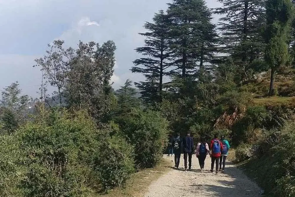 Nature Walk of Mussoorie