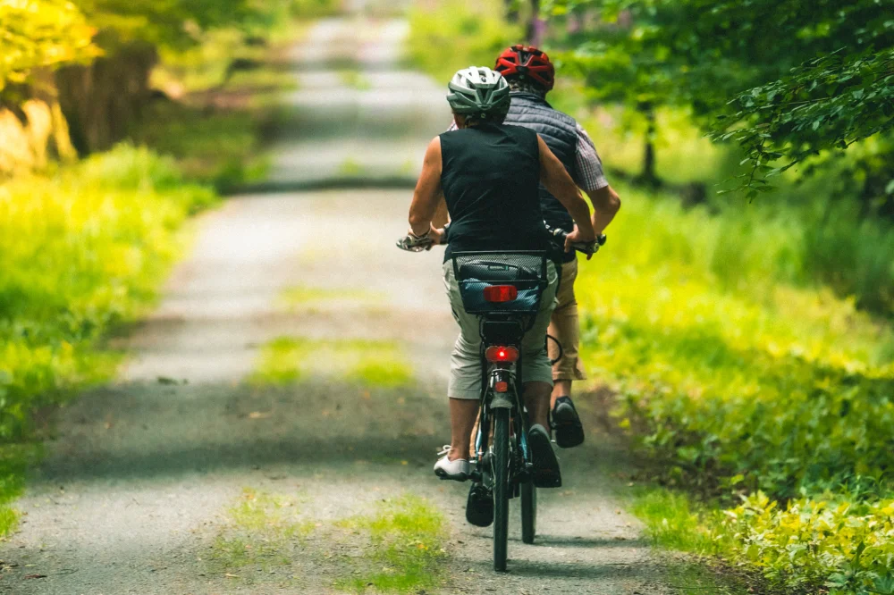 Nature Trail Cycling Through Auroville Forests in Pondicherry