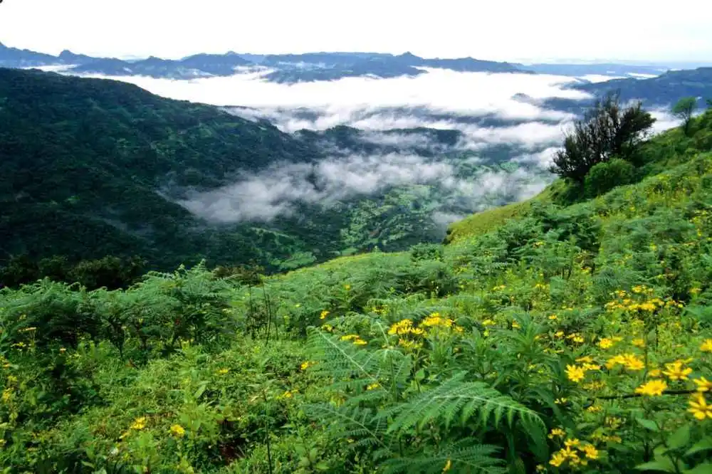 Day Trip to Mahabaleshwar-Panchgani Full day Sightseeing Tour from Pune
