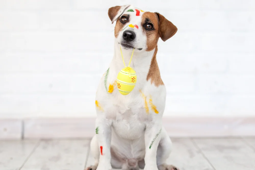 Paint With Puppies Noida