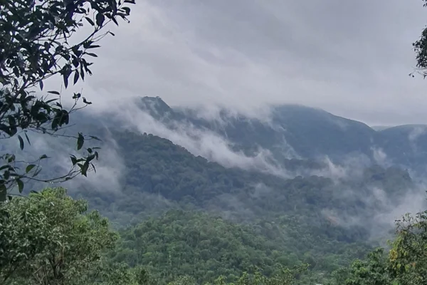 Nature Camp Tada Near Chennai | Tent Camping, Water Activities & Trekking
