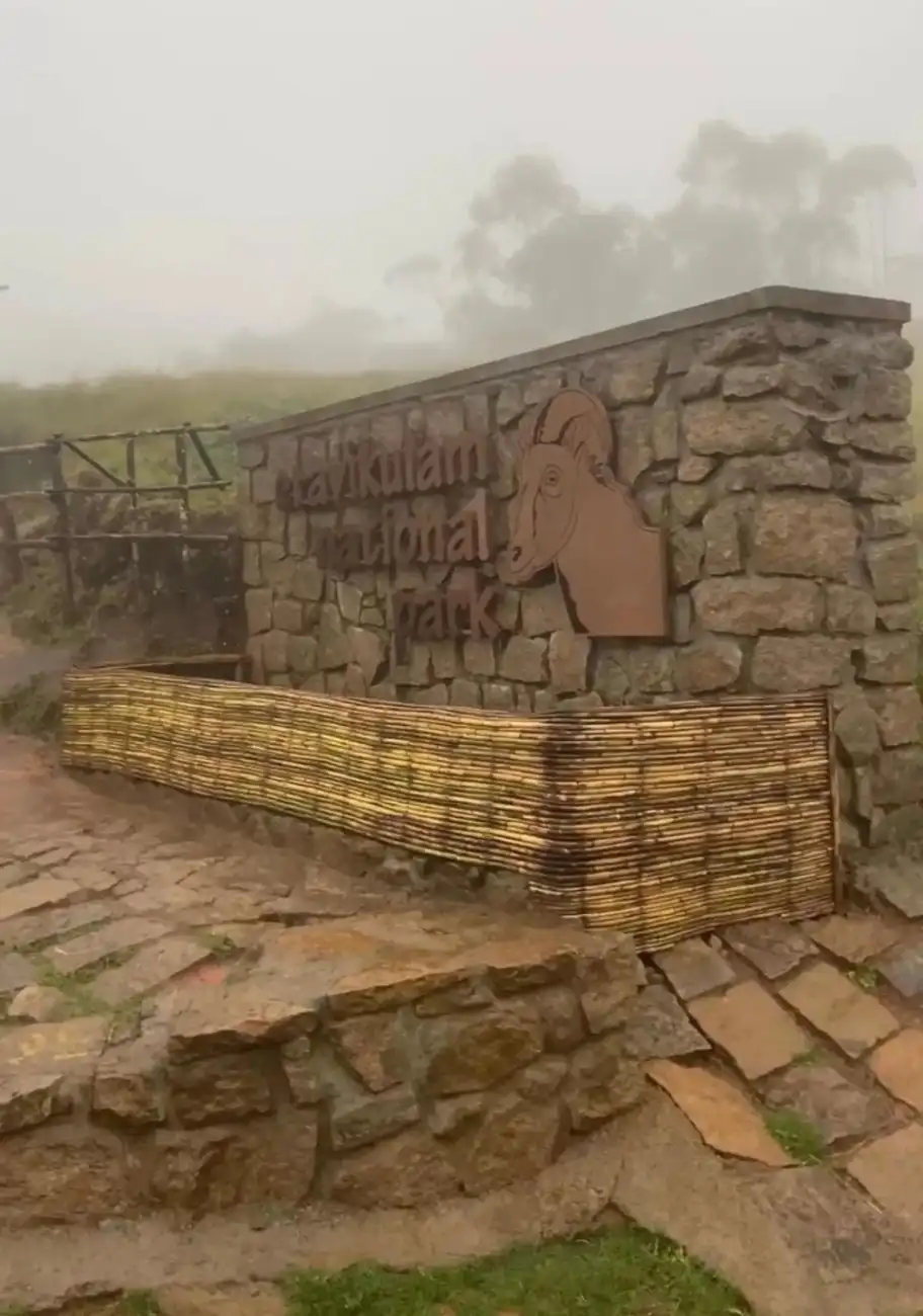 Kochi to Munnar Scenic Day Tour with Eravikulam National Park, Tea Plantations and Waterfalls
