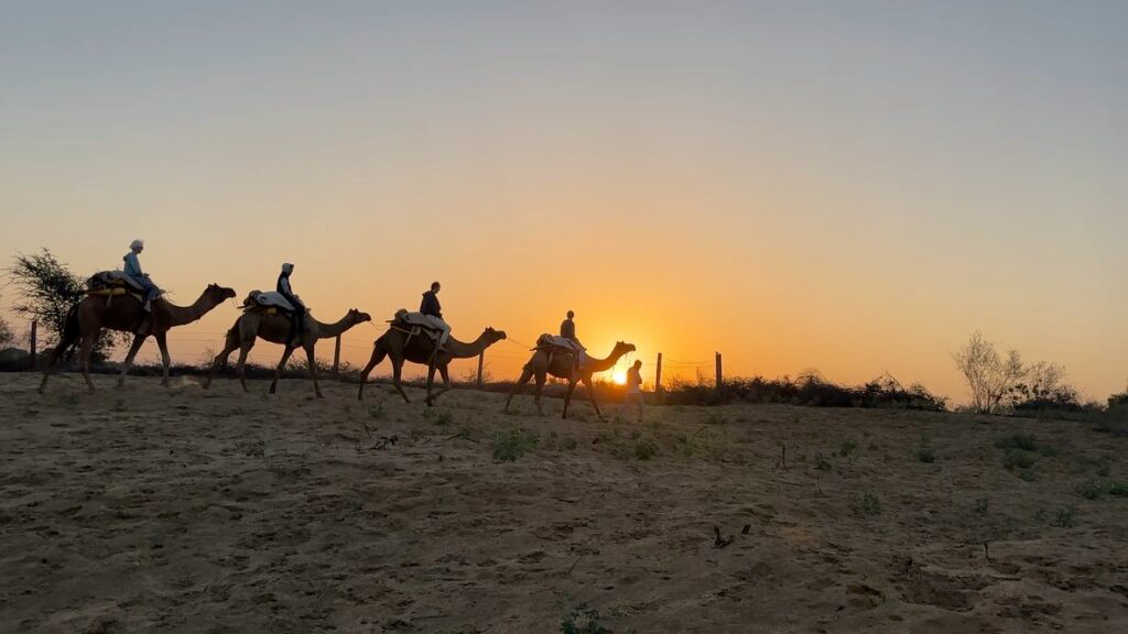 Complete Desert Adventure : Osian Temples, Camel Ride, Jeep Safari & Traditional Dinner from Jodhpur