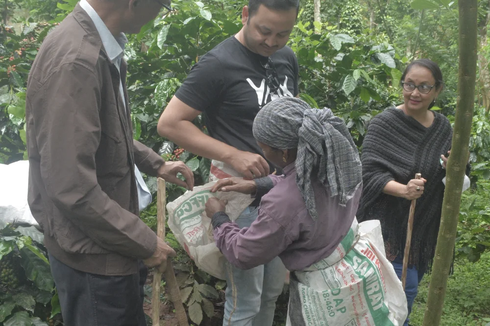 Coorg Farm-to-Cup Journey – Complimentary Fresh Coffee Pack for Every Guest
