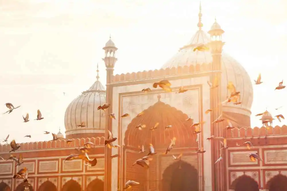 Day Trip to Agra from Delhi