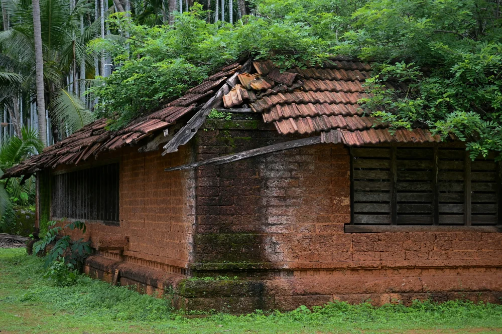 Special Auroville Experience with Community Lunch