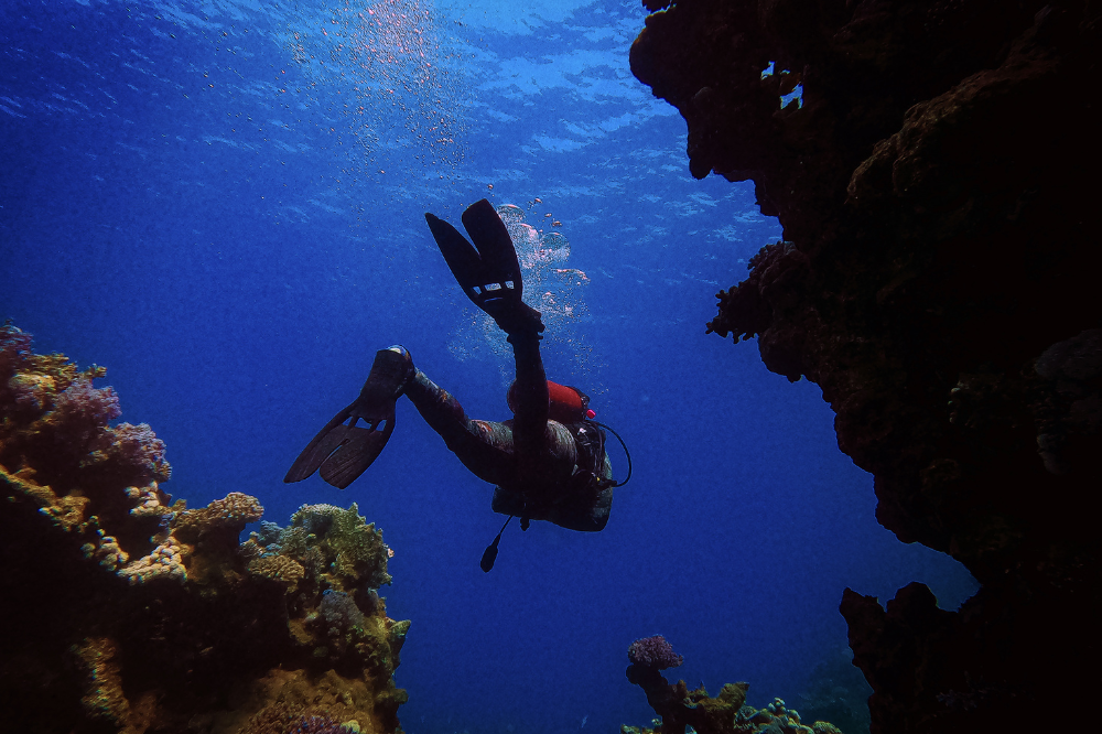 PADI Beginner Certification Courses in Kovalam