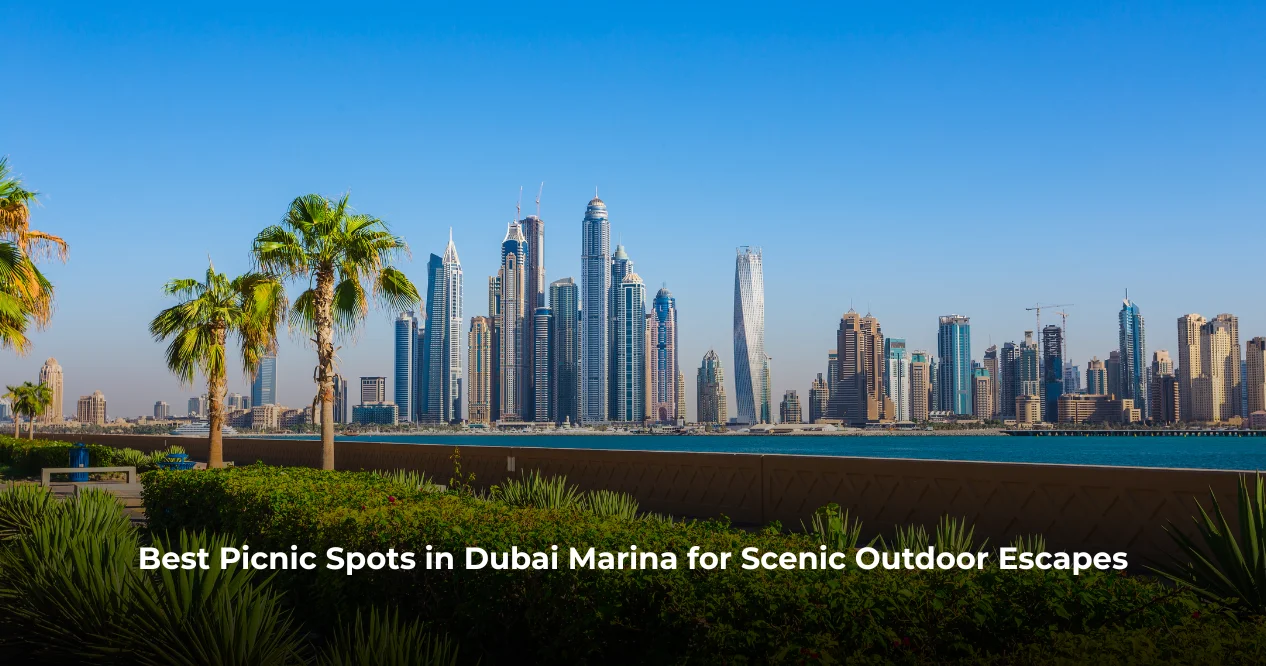Best Picnic Spots in Dubai Marina for Scenic Outdoor Escapes