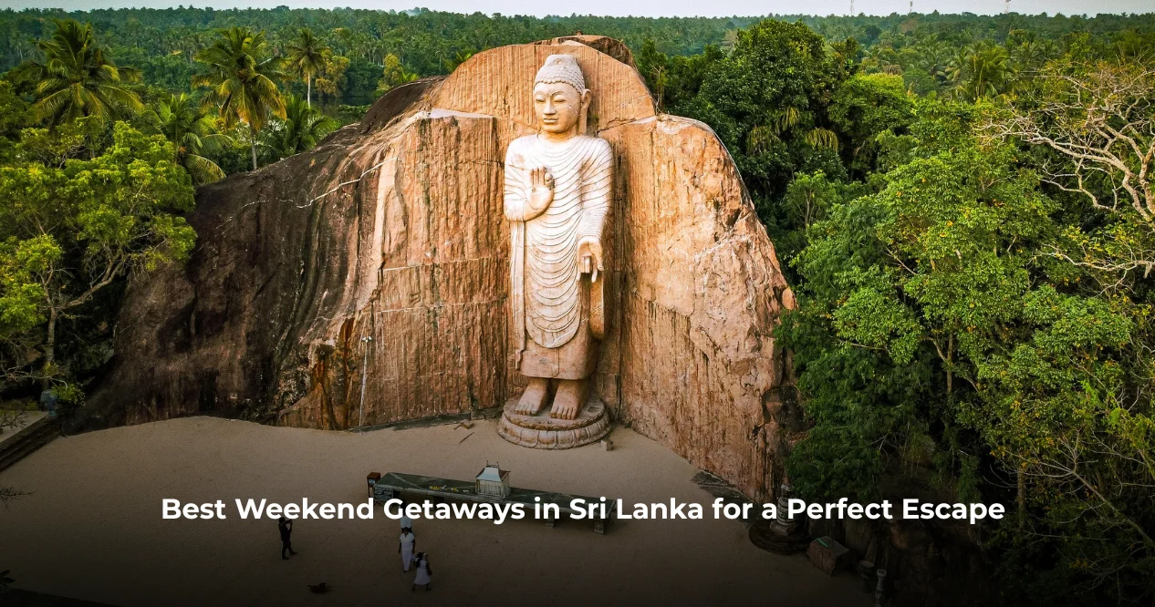 Best Weekend Getaways in Sri Lanka for a Perfect Escape