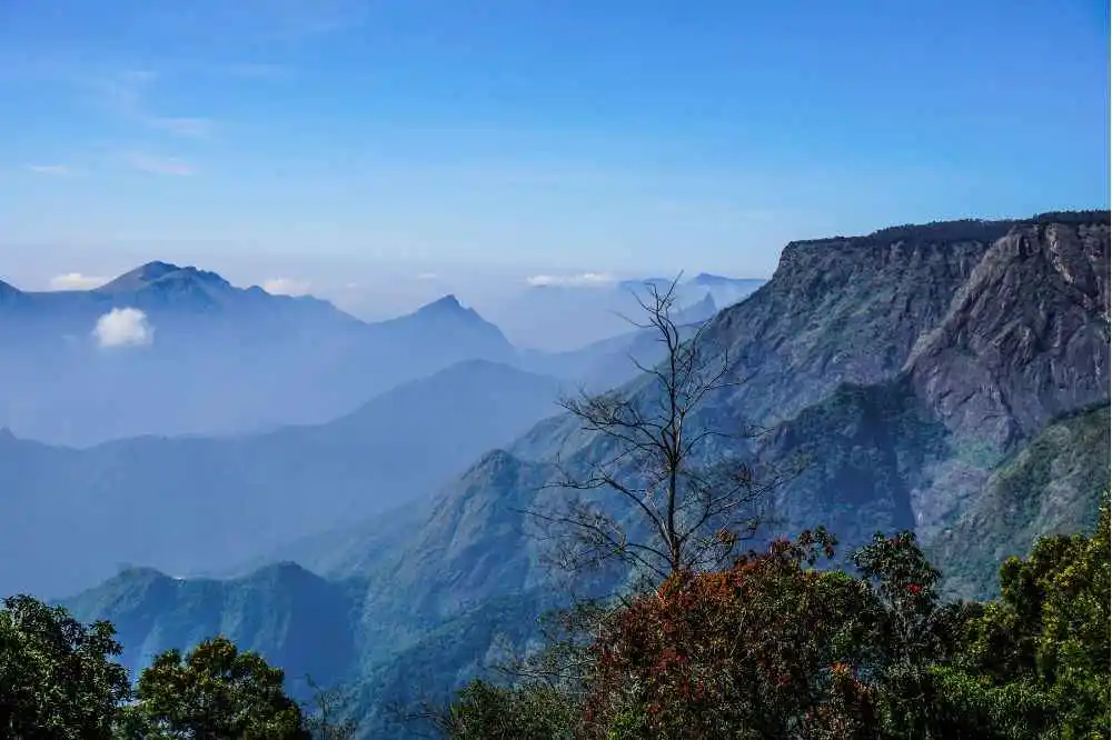 Day Trip to Coonoor Sightseeing Tour by Car from Ooty