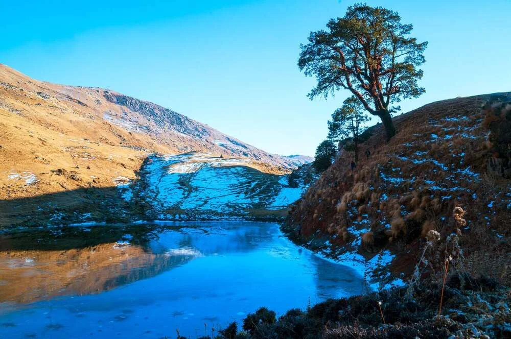 Brahmatal Trek 5N/6D from Lohajung