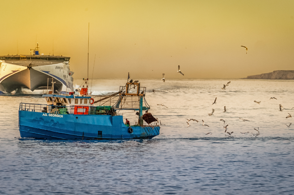 Game Fishing in Kovalam