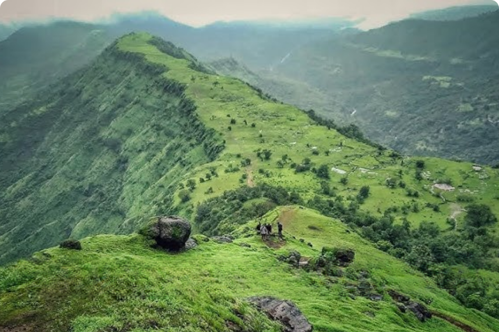 Garbett Plateau Night Trek