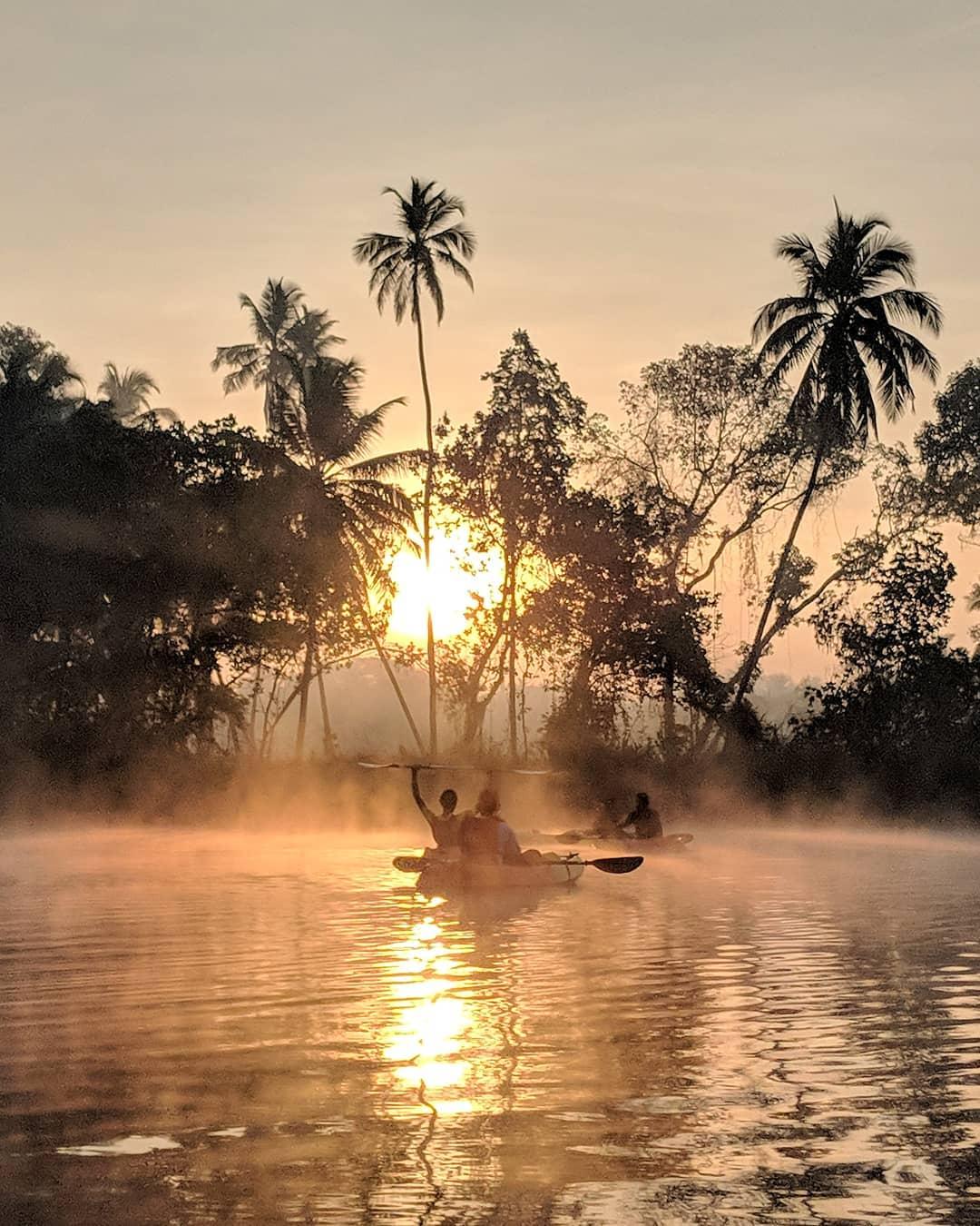 Magic of Kumarakom - Backwater Kayaking