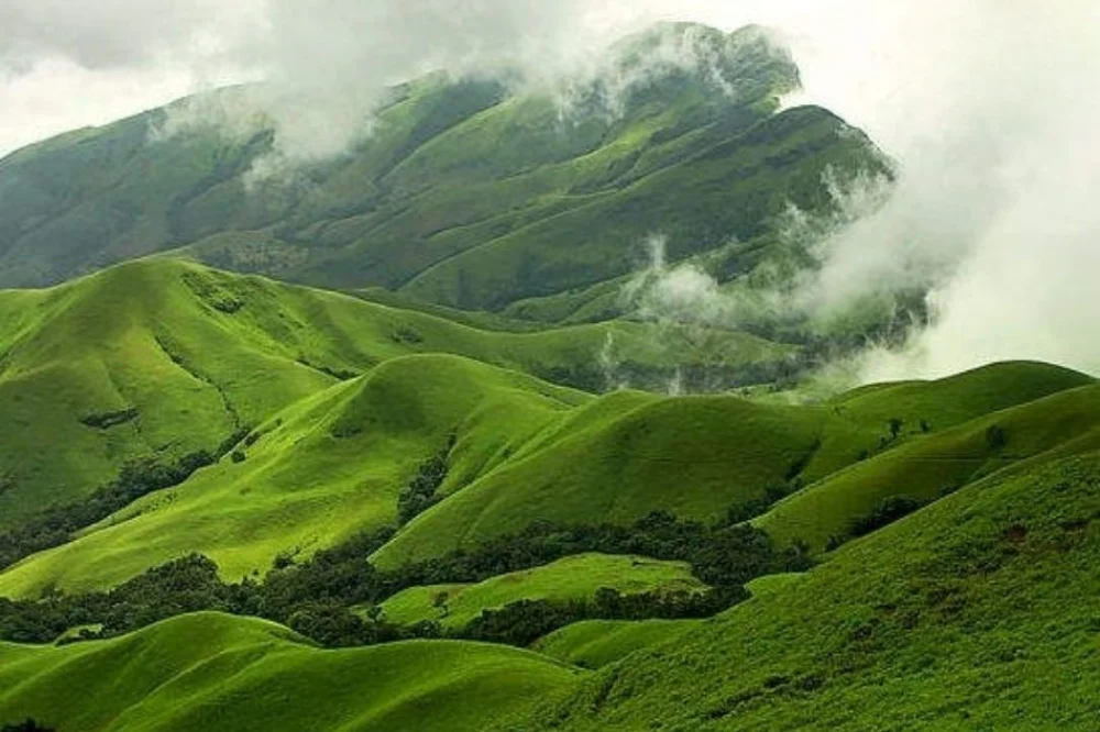 Kumara Parvatha One-Day Trek – Coorg Pushpagiri Range