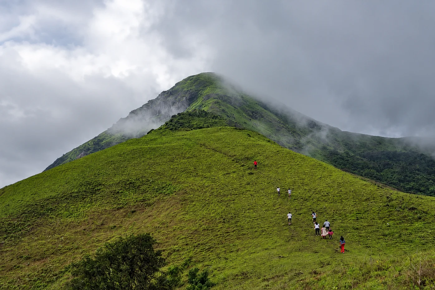 2-Day, 2-Night Sakleshpur Group Trek to Guddada Rangaswamy Betta with Homestay, Meals & Shared Round-Trip Transfers