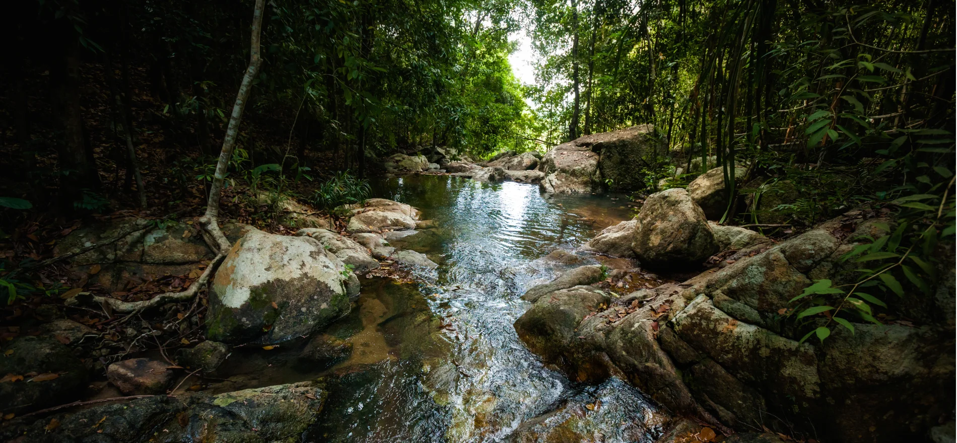 Nanemachi Waterfall Trek – Discover Maharashtra’s Hidden Gem