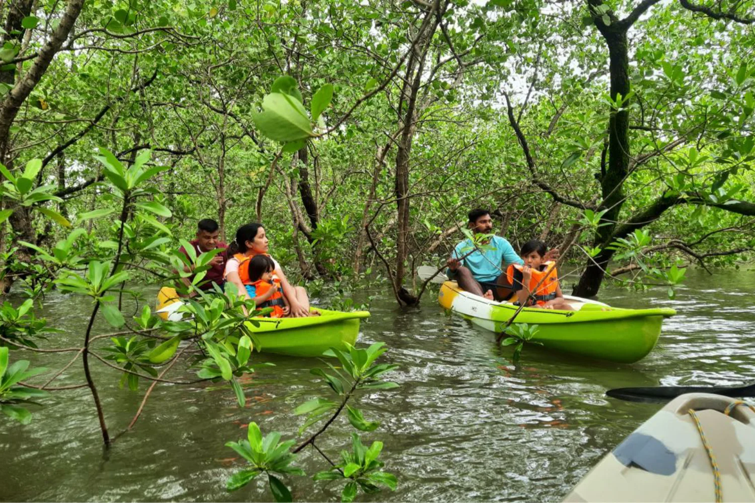 1-Hour Group Island Visit and Kayaking in Chapora Backwaters (Without Transfers)