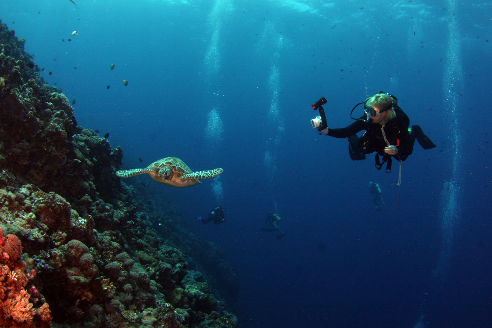 Scuba Diving in Kovalam