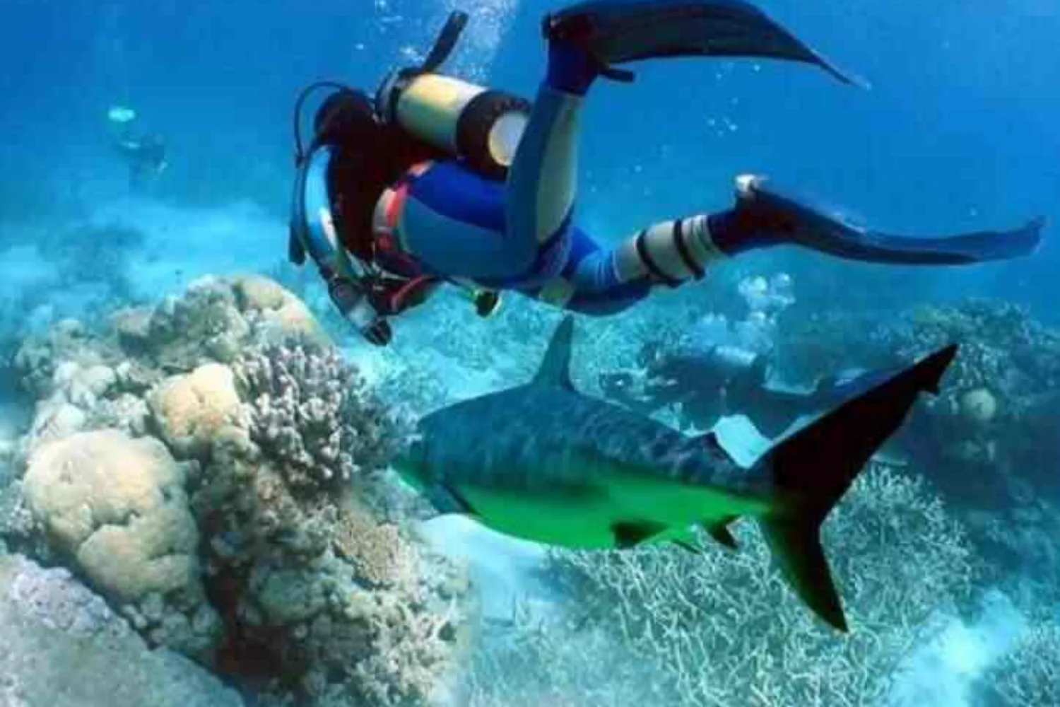 Scuba Diving & Water Sports at Malvan Beach