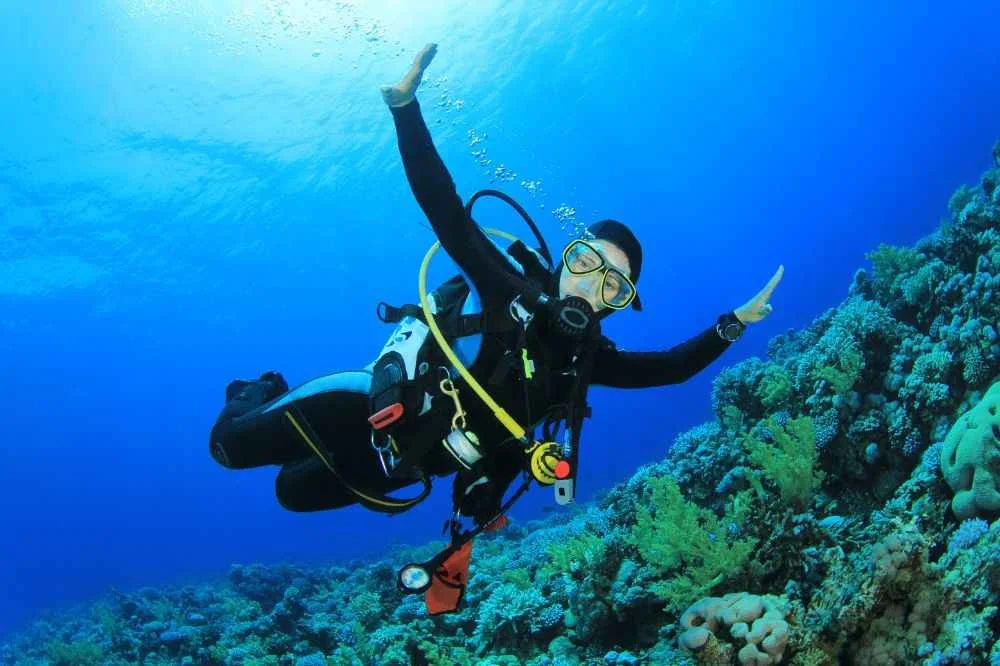 Scuba Diving in Pondicherry