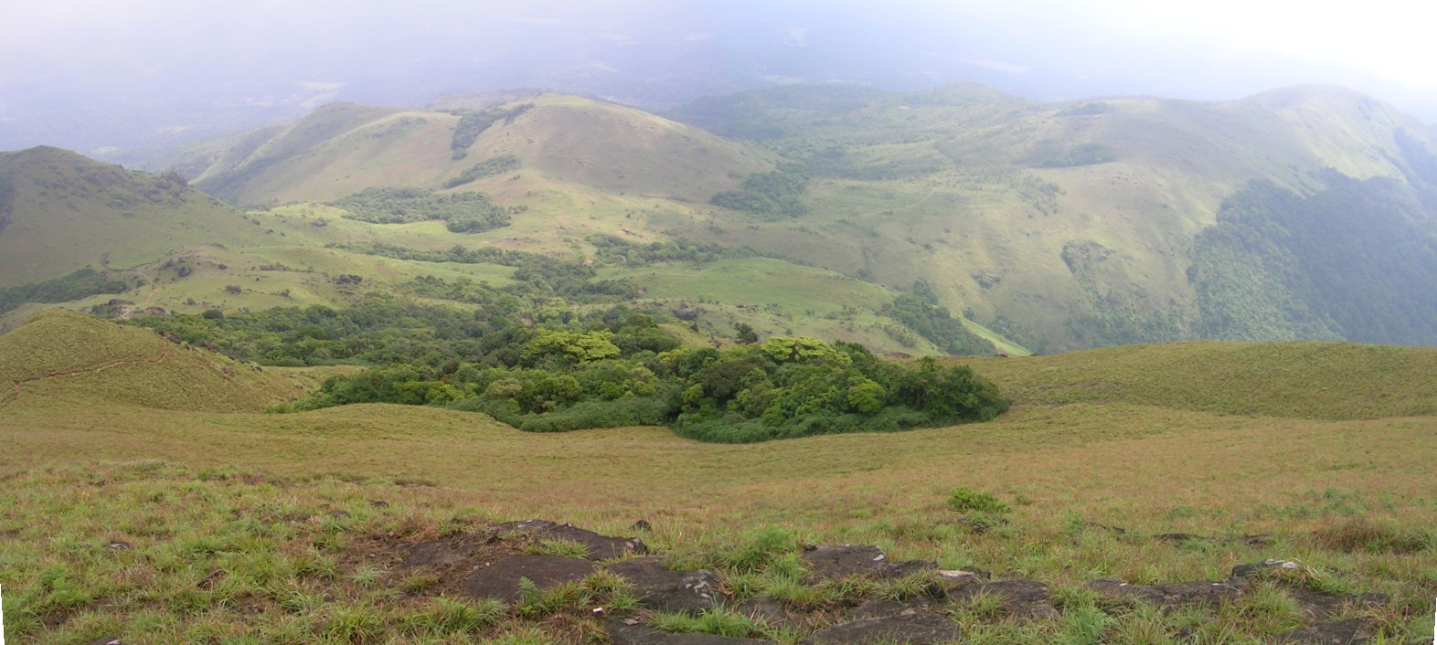 Tadiandamol Trek from Bangalore