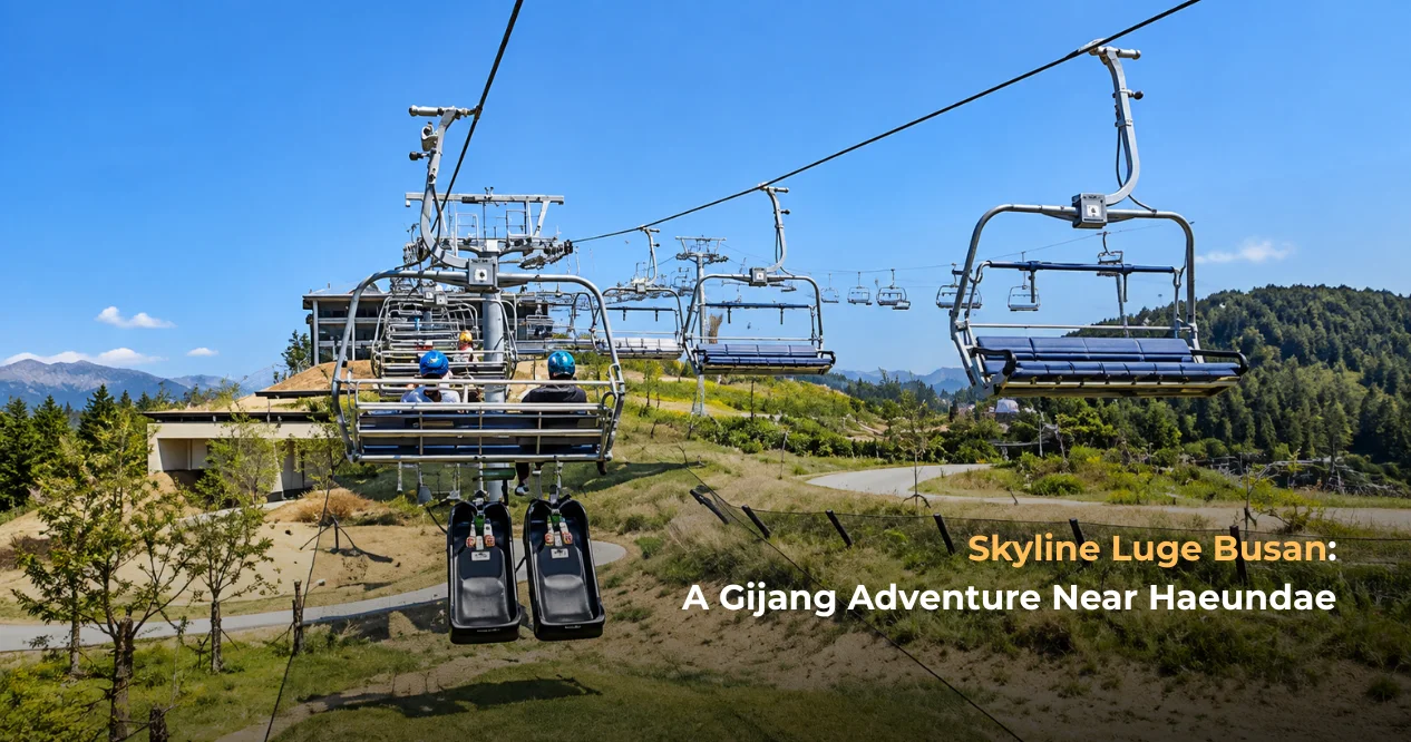 Skyline Luge Busan: A Gijang Adventure Near Haeundae