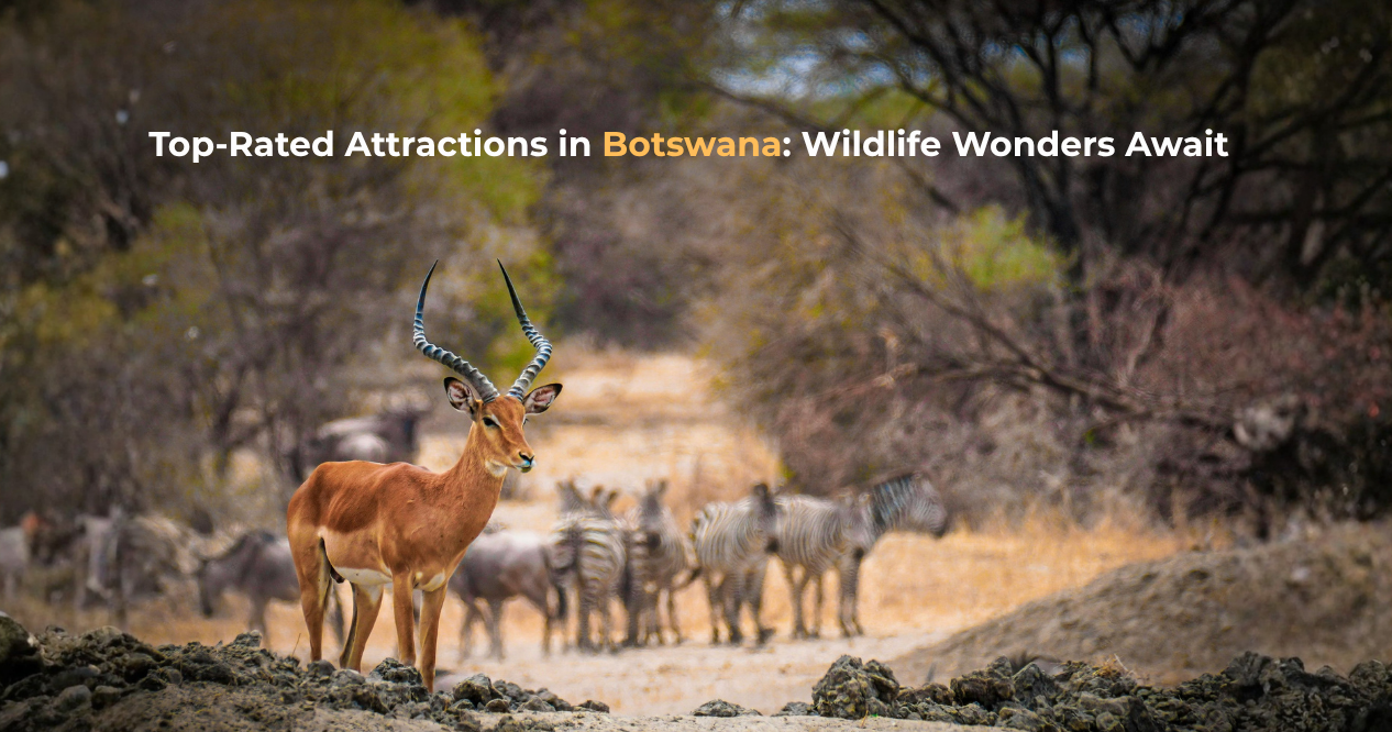 Top-Rated Attractions in Botswana: Wildlife Wonders Await