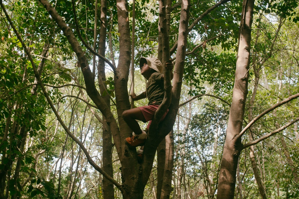 Ape Climb, Palampur
