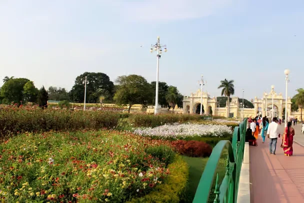 Mysore Natural Wonders Guided Half-Day Tour