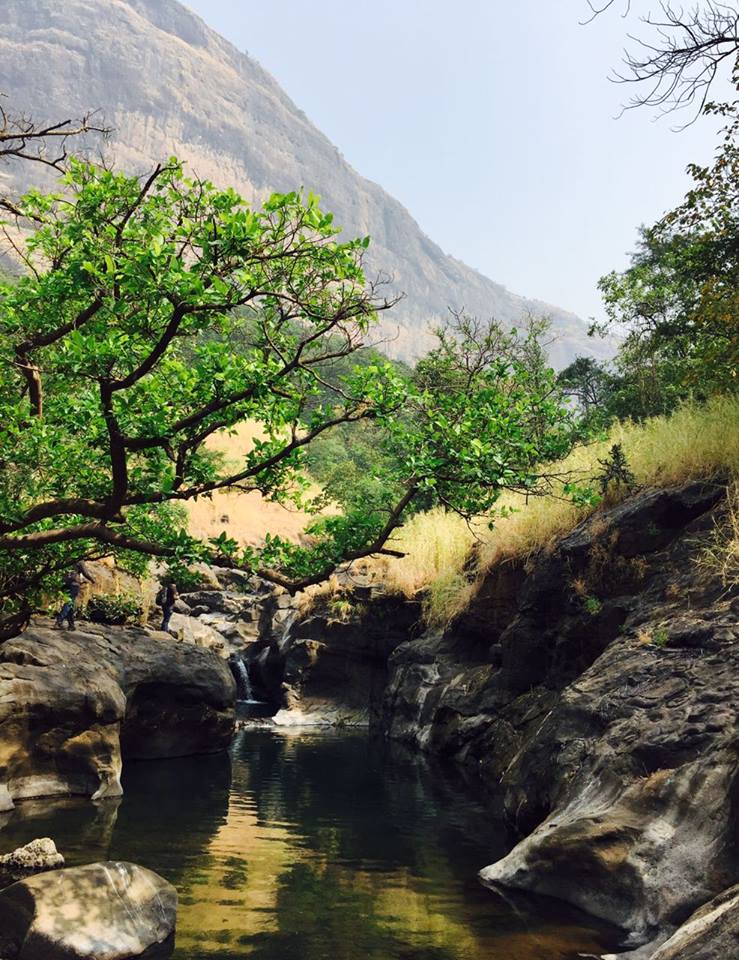 Devkund Waterfall Trek – Sahyadri's Hidden Paradise