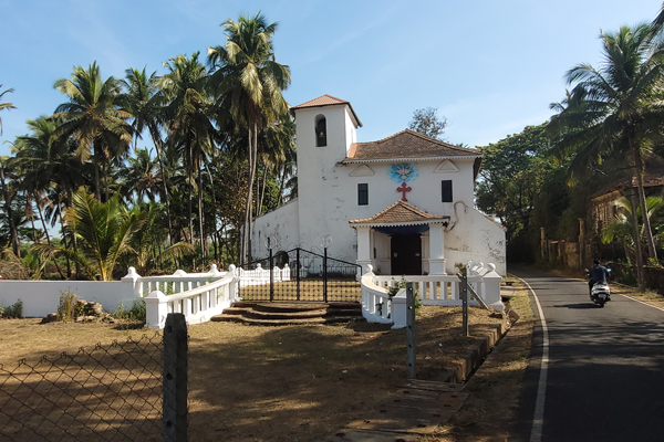 Chorao Island Tour on an Electric Cycle in Goa