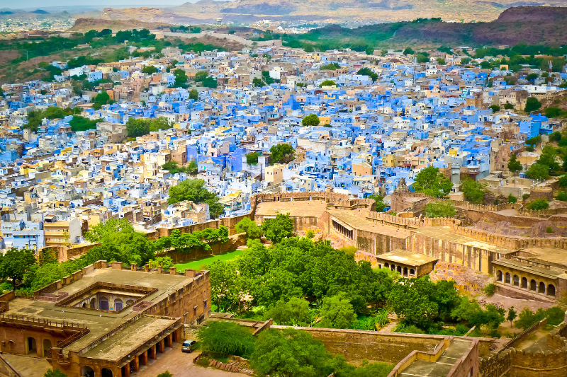 Eco-Warriors & Wildlife : Bishnoi Village Safari with Authentic Rajasthani Food from Jodhpur