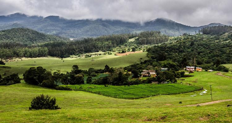 Ooty 2-Day Group Tour from Bangalore with Homestay, Meals and Shared Round-Trip Transfers
