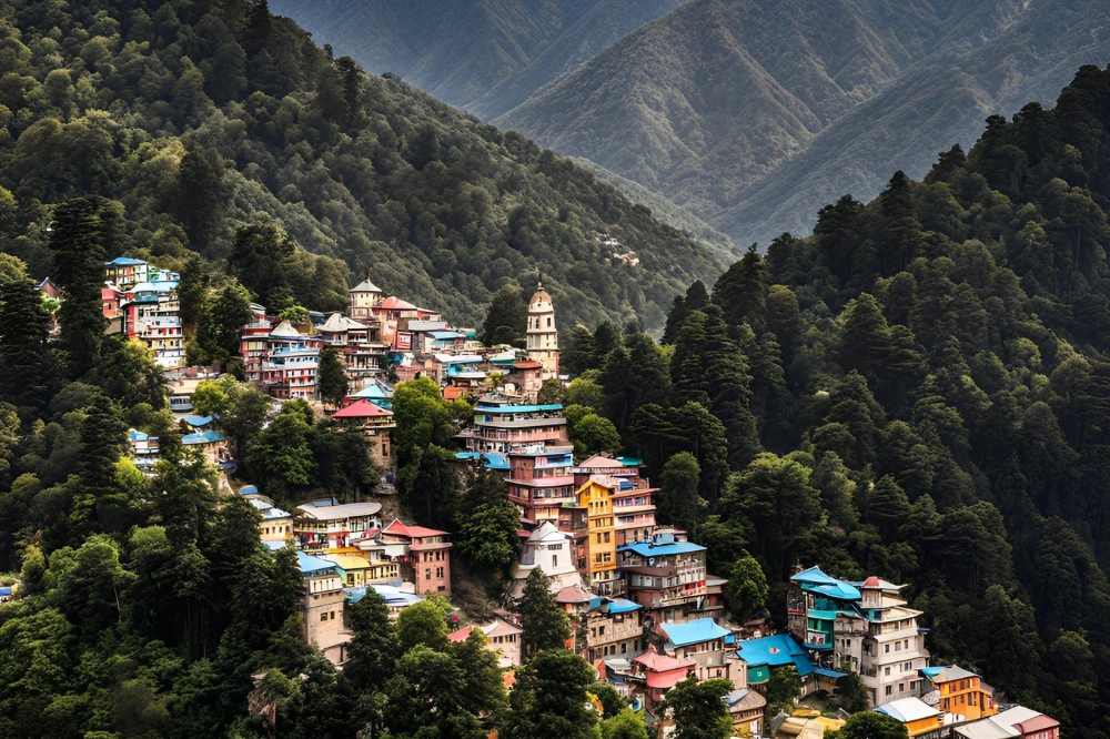 Full Day Guided Tour of Dharamshala & Mcleodganj