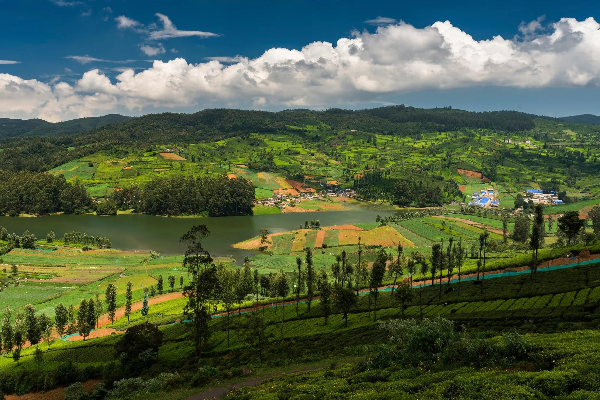 Full-Day Private Ooty Sightseeing Tour with Bilingual Guide & Round-Trip Transfers