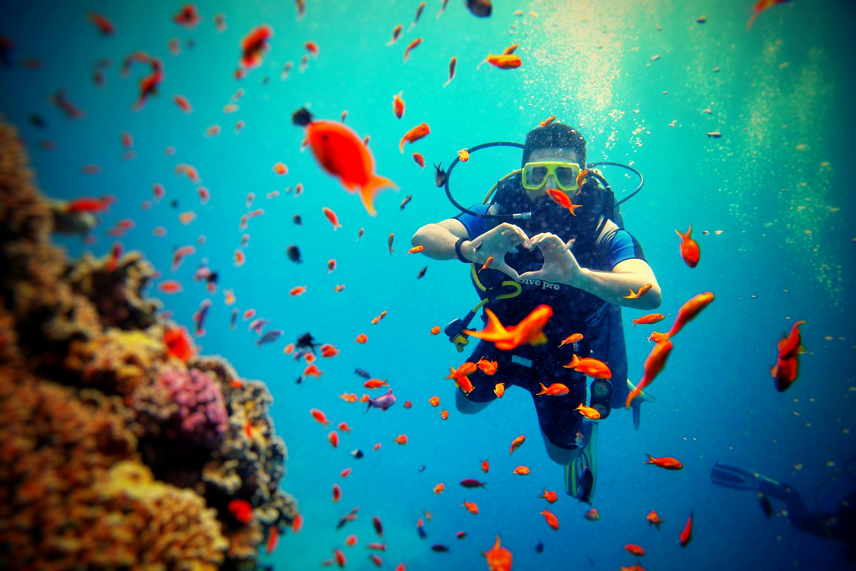 Scuba Diving & Water Sports At Grande Island, North Goa