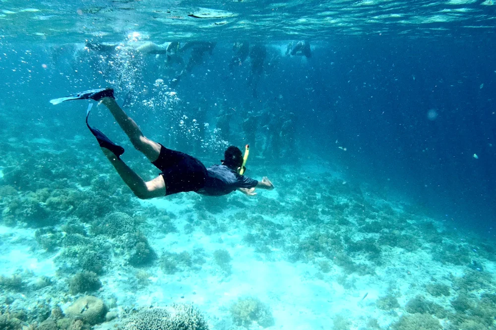 Snorkeling Experience in Umngot River or Shnongpdeng, Meghalaya