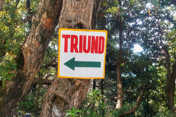 Triund Trek 2D/1N