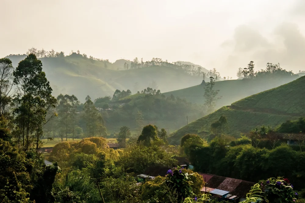 Netravati Peak Trek, Kalasa from Bangalore