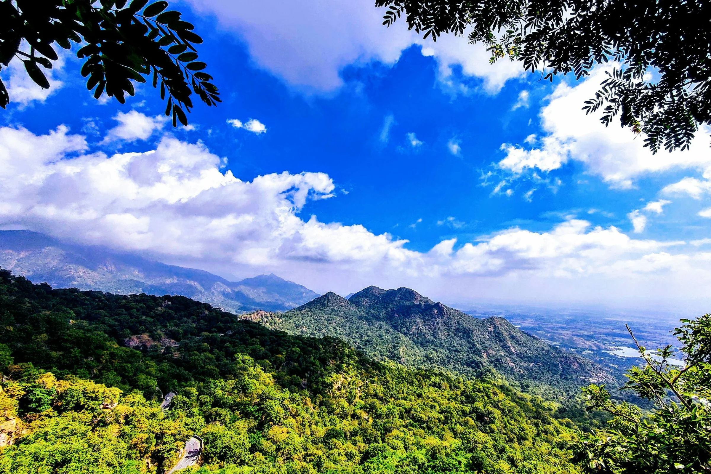 Half-Day Mount Abu Gaumukh & Gautam Rishi Ashram Guided Group Trek